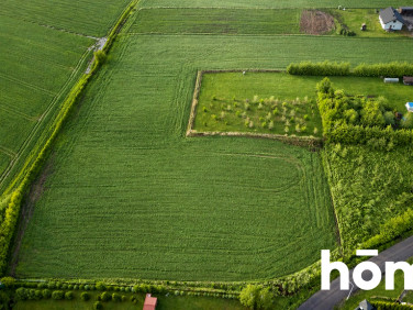 Działka siedliskowa Zrąb