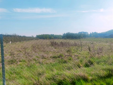 Działka rolna Suchostruga