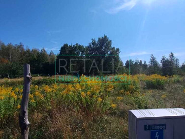 Działka budowlana Stare Budy Radziejowskie