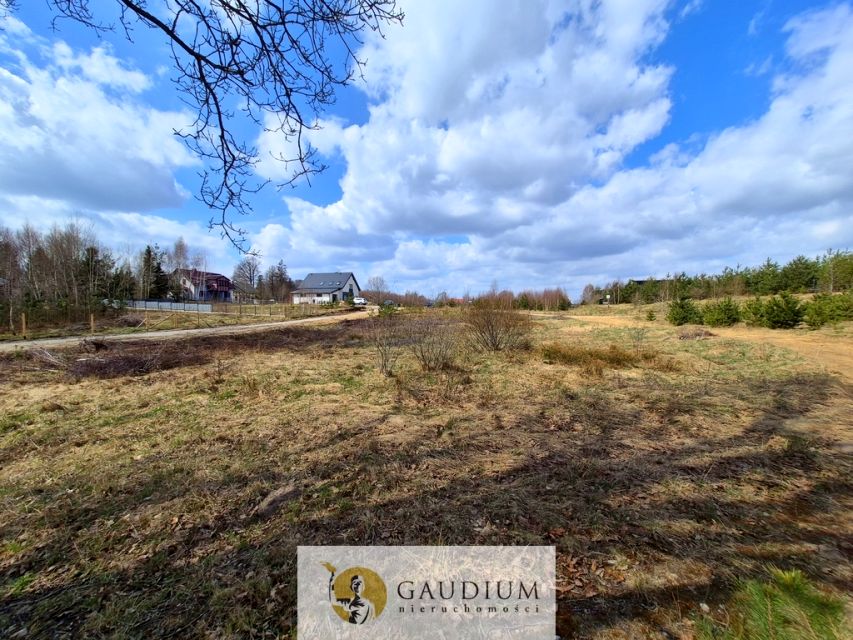 Działka przy lesie