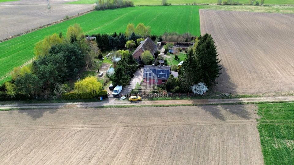 Zdjęcie 3