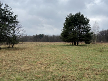 Działka siedliskowa Przeginia Narodowa