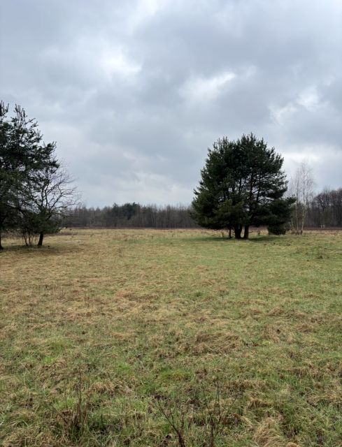 Działka siedliskowa Przeginia Narodowa