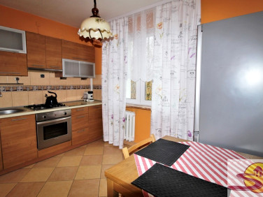 Mieszkanie Radom wynajem