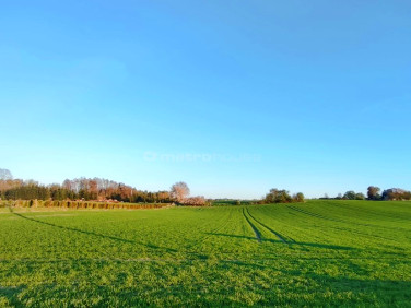 Działka Czernica