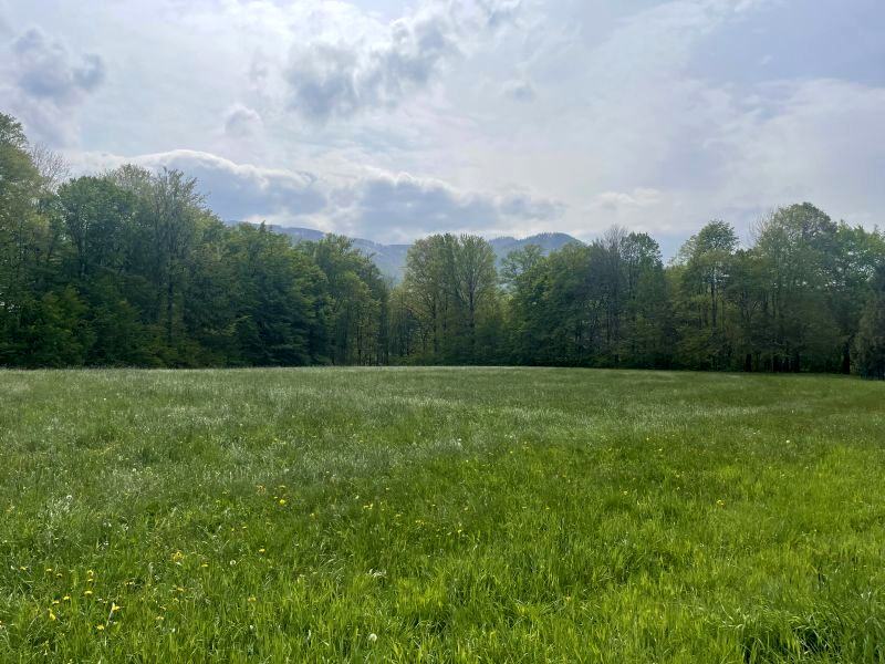 Działka budowlana Brenna