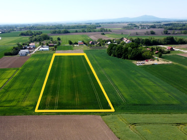 Działka rolna Nowiny