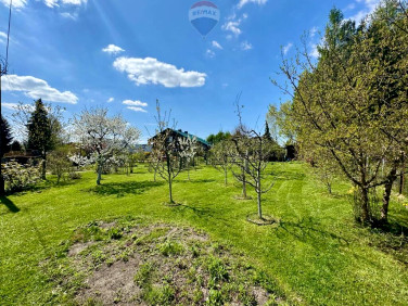 Działka budowlana Rybnik