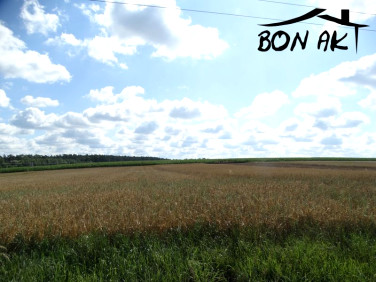 Działka budowlana Wronki