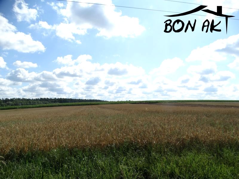 Działka budowlana Wronki