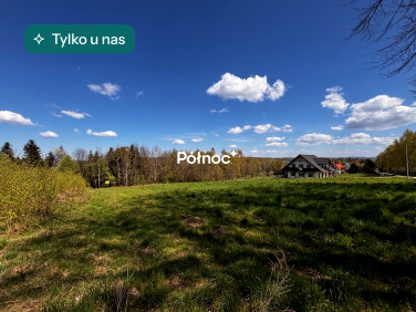 Działka Stary Wiśnicz