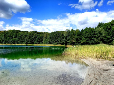 Działka rekreacyjna Okunie