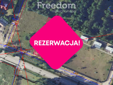 Działka Rekownica
