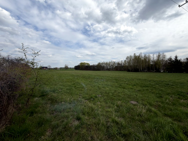 Działka budowlana Branica