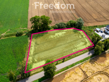 Działka budowlana Pszczółki