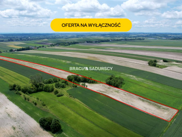 Działka rolna Prandocin-Iły