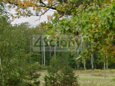 Działka budowlana Rusiec