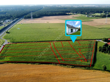 Działka budowlana Skrzynki