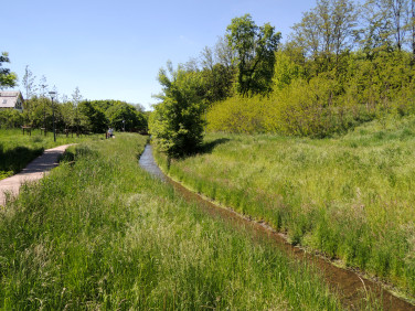 Mieszkanie Zielona Góra