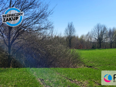 Działka siedliskowa Wysin