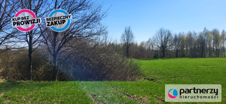 Działka siedliskowa Wysin