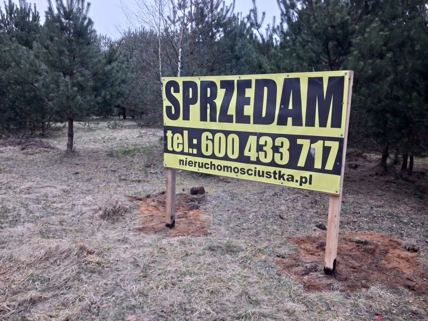 Zdjęcie 2