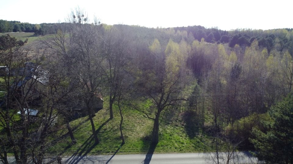 Zdjęcie 3
