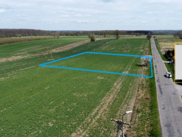 Działka budowlana Wojszyn