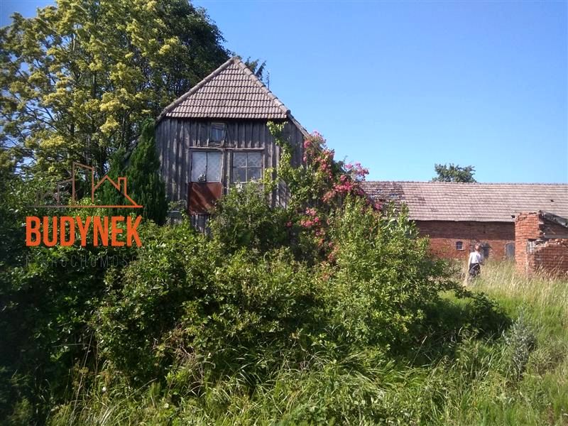 Dom Kowalewiczki sprzedaż