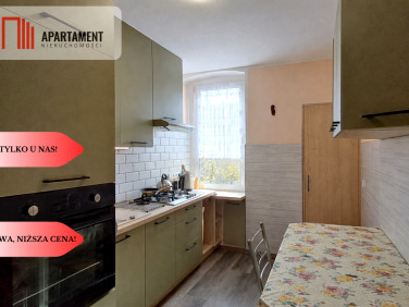 Mieszkanie Stare Kurowo