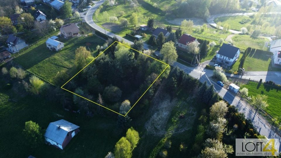 Zdjęcie 3