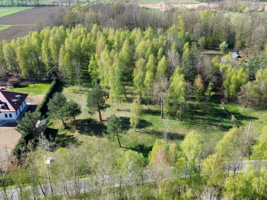 Działka budowlana Dąbrowa Tarnowska