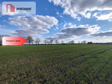 Działka budowlana Wiśniewa sprzedam