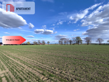 Działka budowlana Wiśniewa