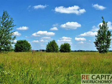 Działka budowlana Zaborówek