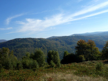 Działka siedliskowa Brenna