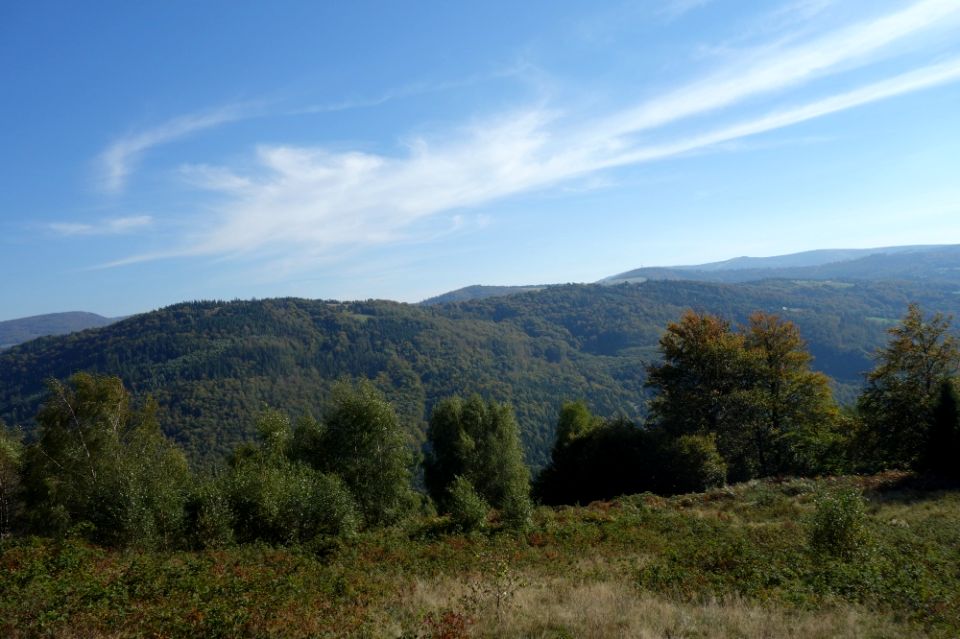 Działka siedliskowa Brenna