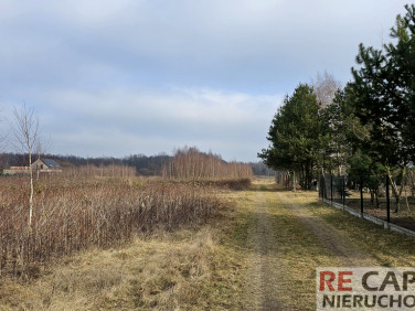 Działka siedliskowa Lipków