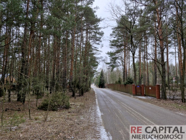 Działka leśna sprzedam