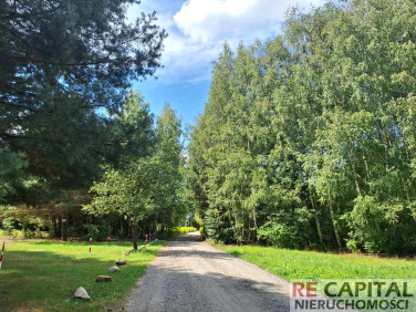 Działka siedliskowa Mariew sprzedam