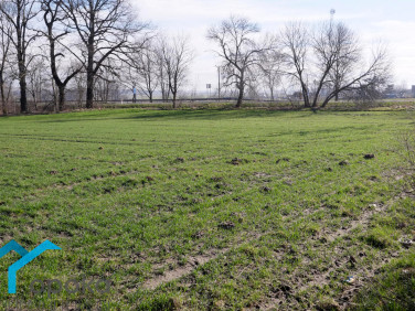 Działka budowlana Wilcza