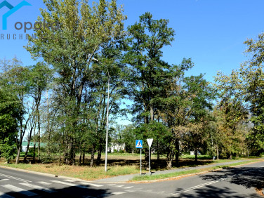 Działka usługowa Dąbrowa Górnicza