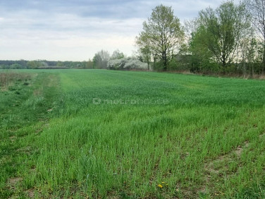 Działka budowlano-rolna Zakrzewo