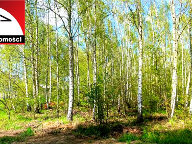 Działka budowlana Gruszczyn