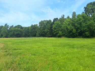 Działka rolna Kępa