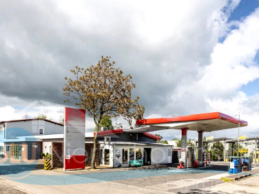 Budynek użytkowy Głogów