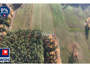 Działka rolna Popielżyn Dolny