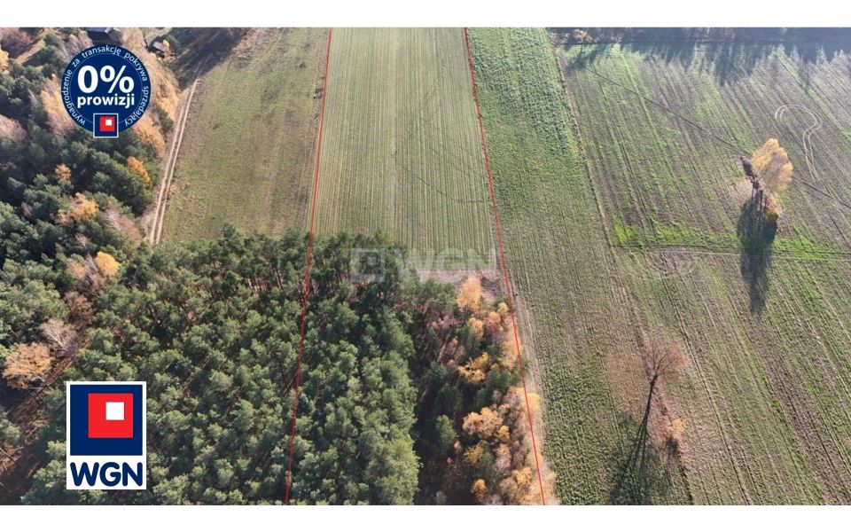 Działka rolna Popielżyn Dolny
