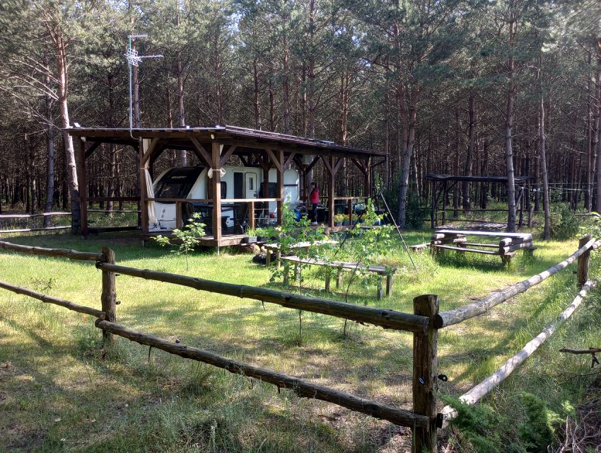 Działka leśna Konopaty