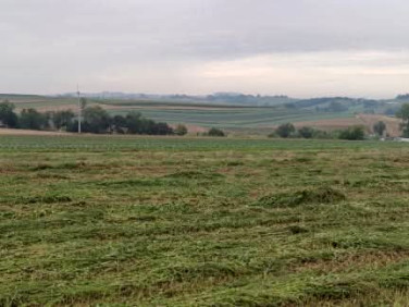 Działka budowlana Wronin